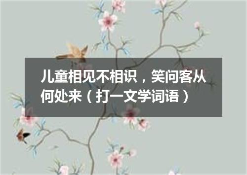 儿童相见不相识，笑问客从何处来（打一文学词语）