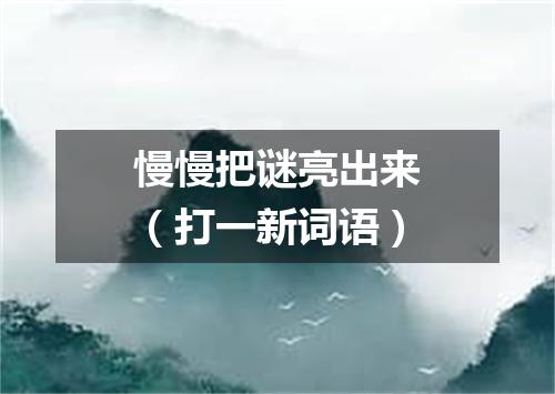 慢慢把谜亮出来（打一新词语）