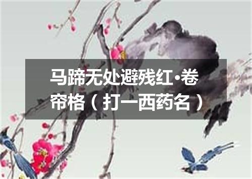 马蹄无处避残红·卷帘格（打一西药名）