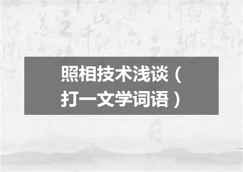 照相技术浅谈（打一文学词语）