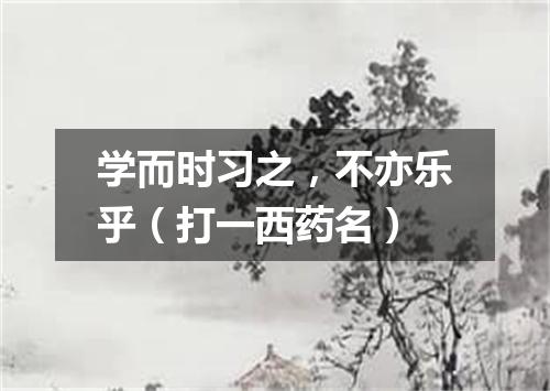 学而时习之，不亦乐乎（打一西药名）