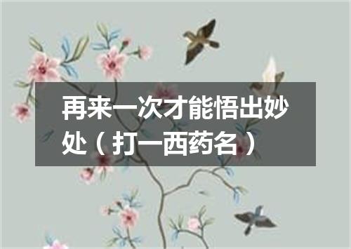 再来一次才能悟出妙处（打一西药名）