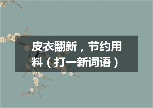 皮衣翻新，节约用料（打一新词语）