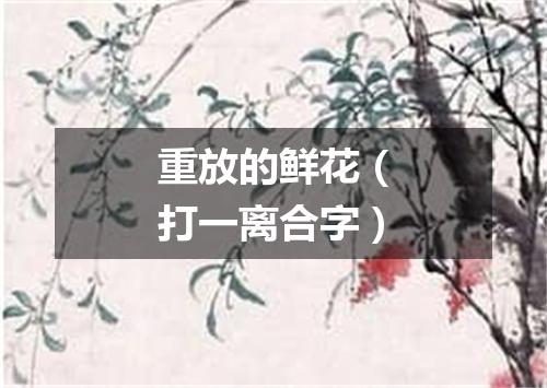 重放的鲜花（打一离合字）