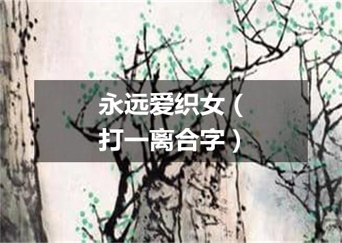 永远爱织女（打一离合字）