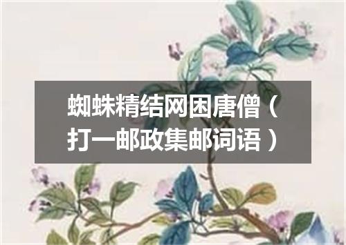 蜘蛛精结网困唐僧（打一邮政集邮词语）