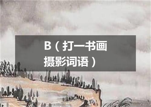 B（打一书画摄影词语）