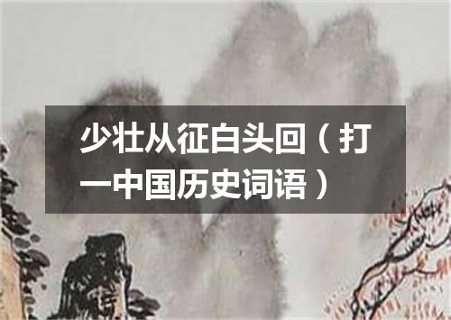 少壮从征白头回（打一中国历史词语）