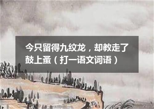 今只留得九纹龙，却教走了鼓上蚤（打一语文词语）