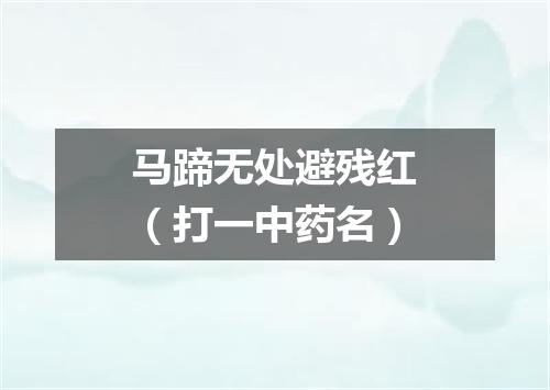 马蹄无处避残红（打一中药名）