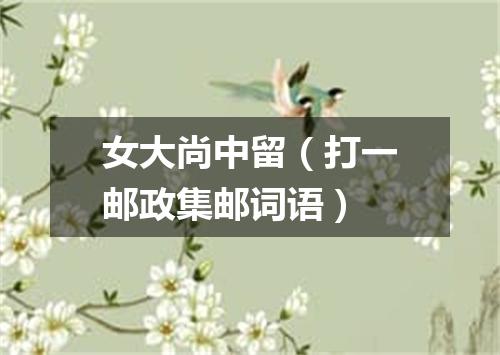 女大尚中留（打一邮政集邮词语）