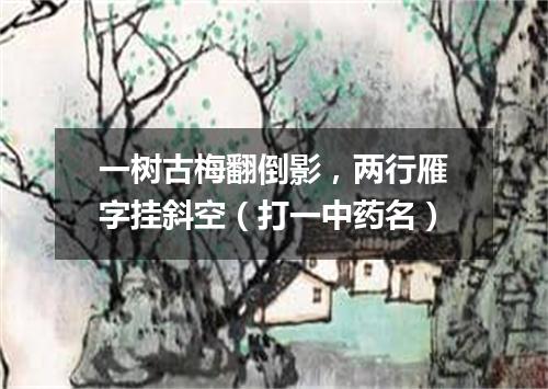 一树古梅翻倒影，两行雁字挂斜空（打一中药名）