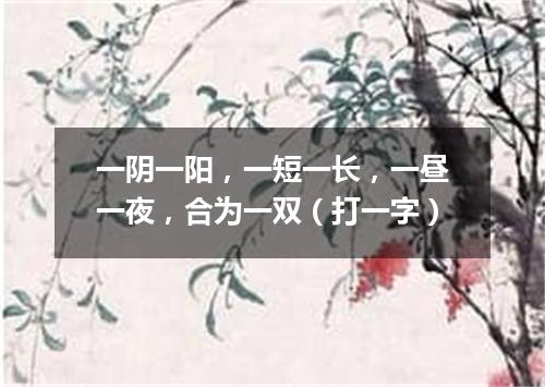 一阴一阳，一短一长，一昼一夜，合为一双（打一字）