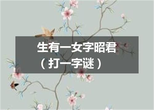 生有一女字昭君（打一字谜）