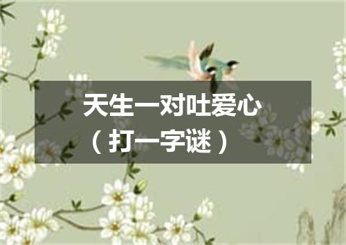 天生一对吐爱心（打一字谜）