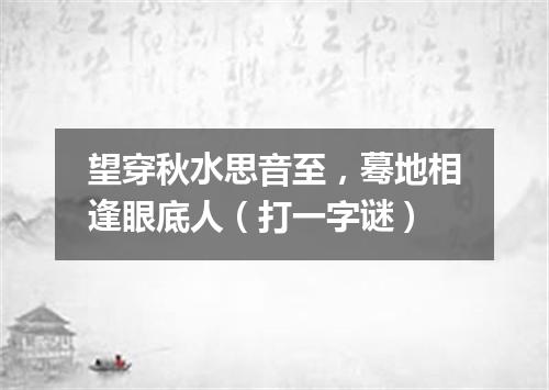 望穿秋水思音至，蓦地相逢眼底人（打一字谜）