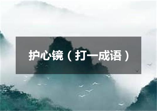 护心镜（打一成语）