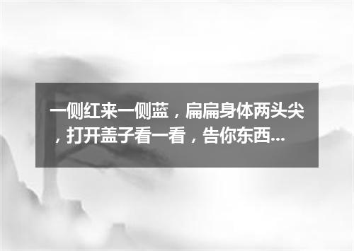 一侧红来一侧蓝，扁扁身体两头尖，打开盖子看一看，告你东西和南北。（打一工具）