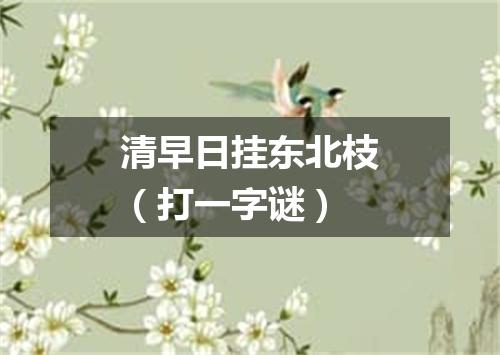 清早日挂东北枝（打一字谜）