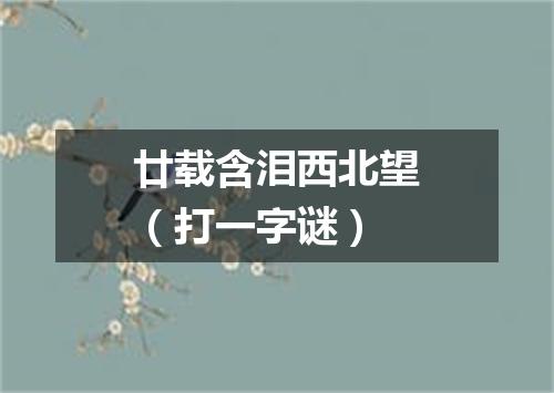 廿载含泪西北望（打一字谜）