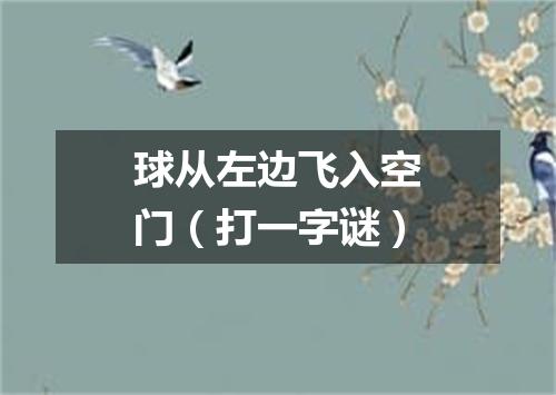 球从左边飞入空门（打一字谜）