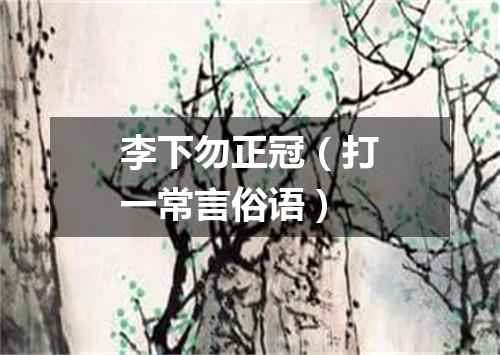 李下勿正冠（打一常言俗语）