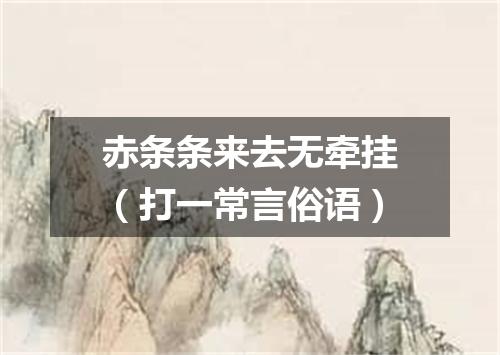 赤条条来去无牵挂（打一常言俗语）