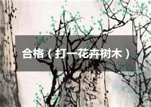 合格（打一花卉树木）