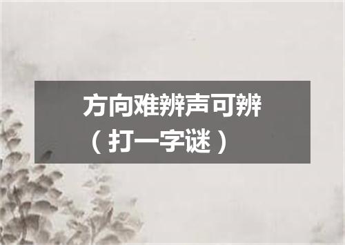 方向难辨声可辨（打一字谜）