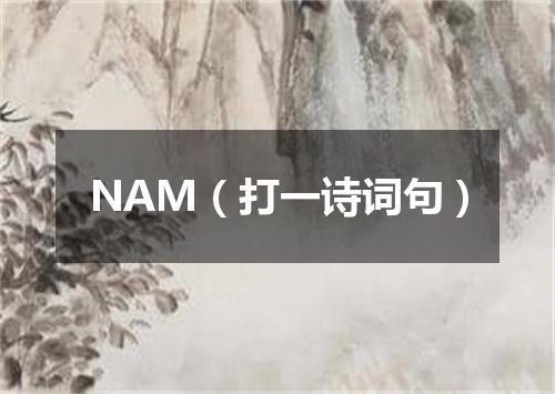 NAM（打一诗词句）