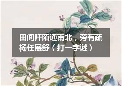 田间阡陌通南北，旁有疏杨任展舒（打一字谜）