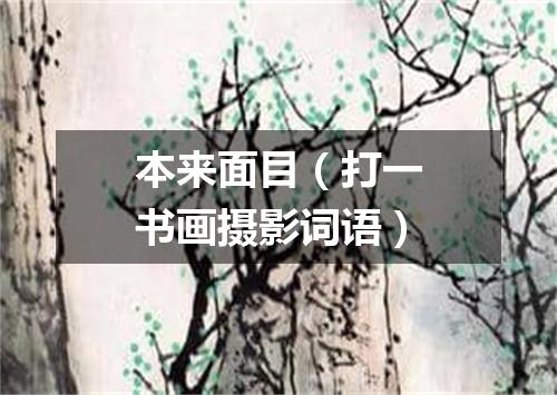 本来面目（打一书画摄影词语）