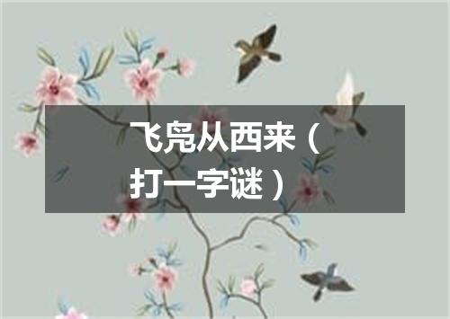 飞凫从西来（打一字谜）