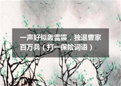 一声好似轰雷震，独退曹家百万兵（打一保险词语）