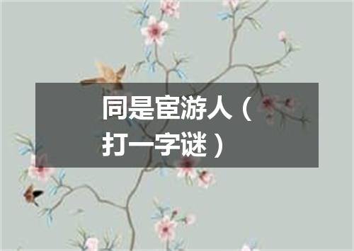 同是宦游人（打一字谜）