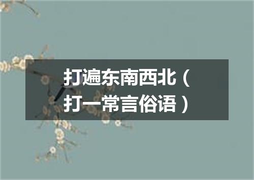 打遍东南西北（打一常言俗语）