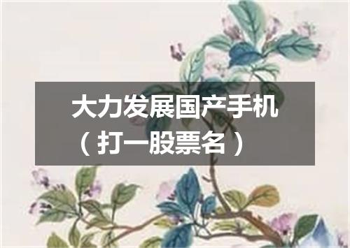 大力发展国产手机（打一股票名）