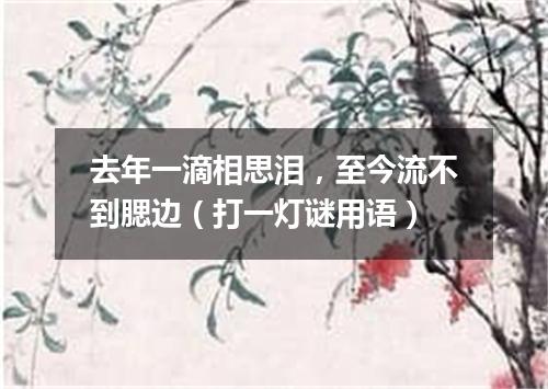 去年一滴相思泪，至今流不到腮边（打一灯谜用语）