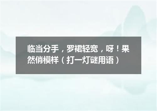 临当分手，罗裙轻宽，呀！果然俏模样（打一灯谜用语）