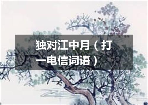 独对江中月（打一电信词语）