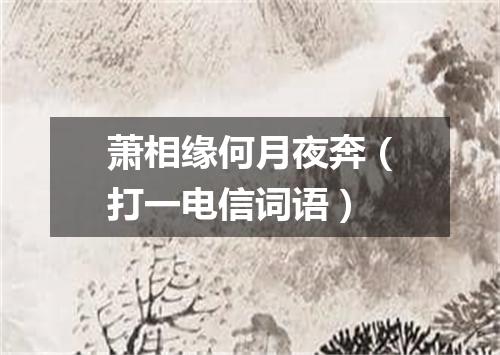 萧相缘何月夜奔（打一电信词语）