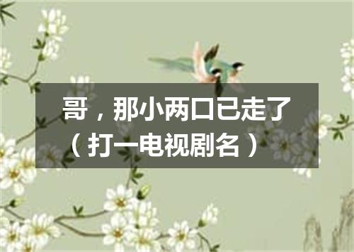 哥，那小两口已走了（打一电视剧名）