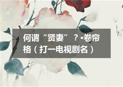 何谓“贤妻”？·卷帘格（打一电视剧名）