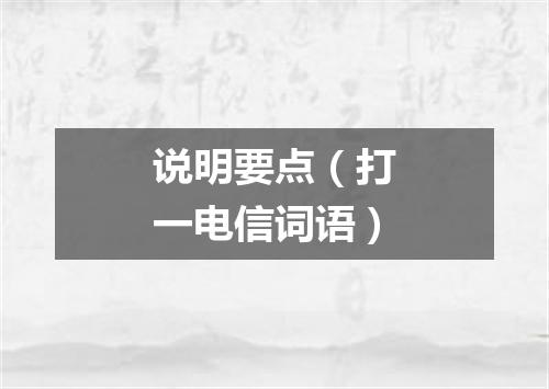 说明要点（打一电信词语）