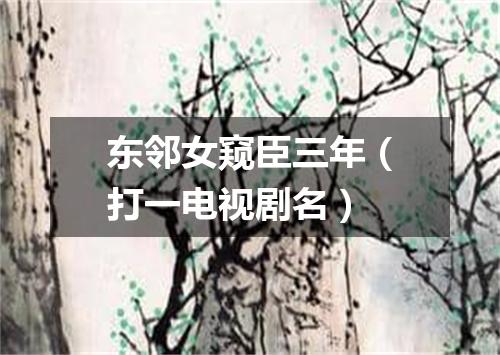 东邻女窥臣三年（打一电视剧名）