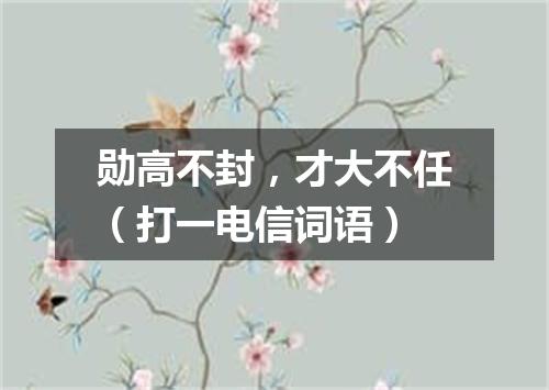 勋高不封，才大不任（打一电信词语）