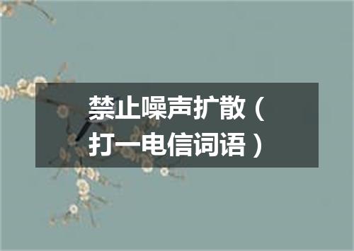 禁止噪声扩散（打一电信词语）