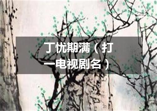 丁忧期满（打一电视剧名）