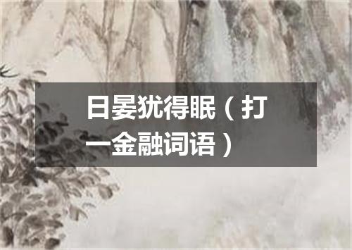 日晏犹得眠（打一金融词语）