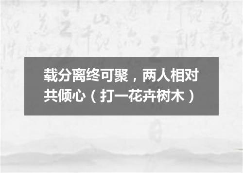 载分离终可聚，两人相对共倾心（打一花卉树木）